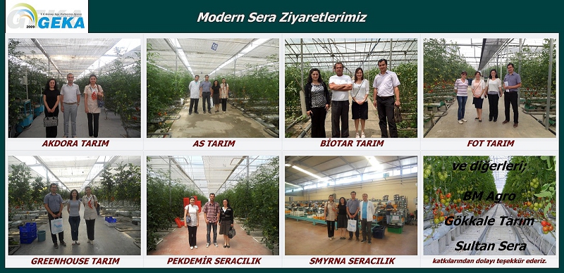 MODERN SERACILIK YATIRIM RAPORUMUZ KAPSAMINDA BÖLGE SERALARINA ZİYARET GERÇEKLEŞTİRDİK